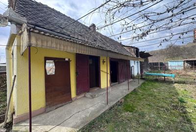 Casă cu 3 camere în Șoard - 8