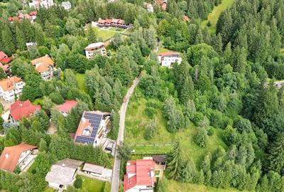 Teren Intravilan Poiana Brasov - 19