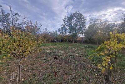 RECO Vila deosebita  in Santandrei cu sauna si teren generos - 50