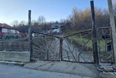 Casă cu 6 camere cu Teren 2377 Mp în Ghioșești - 3