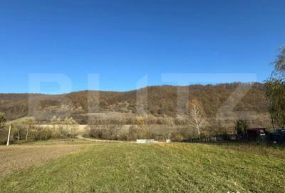 Teren de 2700 mp, în Cozia - 2