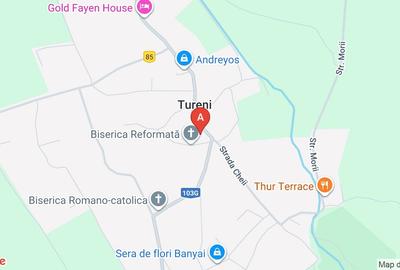 Teren intravilan de 7600 mp, în Tureni - 1