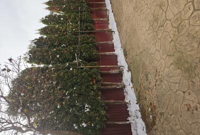 Vand casa in com.Cordun - 8