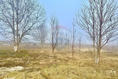 Teren de 500 mp, în Girov