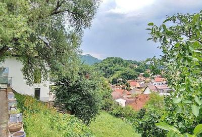 Proprietate Remarcabila - Brasovul Vechi - 10