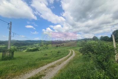 Teren intravilan de vanzare in Breaza (dezvoltare imobiliara) - 6