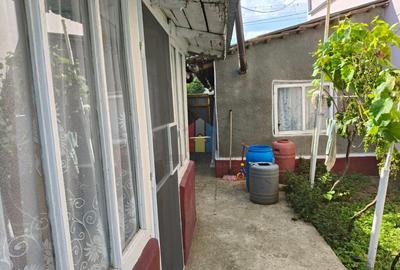 Casa 4 camere, Radu Negru, Teren - 264 mp - 10
