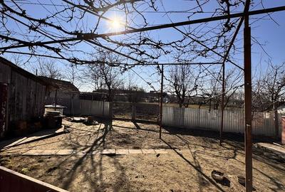 Casă cu 3 camere cu Teren 1413 Mp în Sânnicolau Român - 3