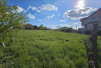 Spațiu comercial, în Spitalul Județean - 3