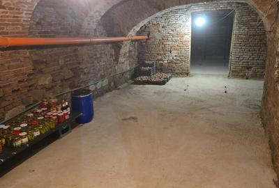 Casa cu teren 3200mp - 10