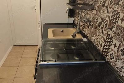 Apartament cu 3 camere semidecomandat în Iosefin - 3