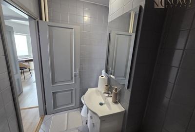 Apartament cu 2 camere nedecomandat, mobilat în Moșilor - 15