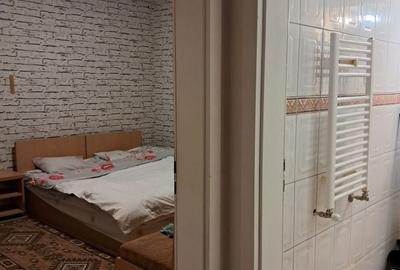 Garsonieră decomandată în Podgoria - 3