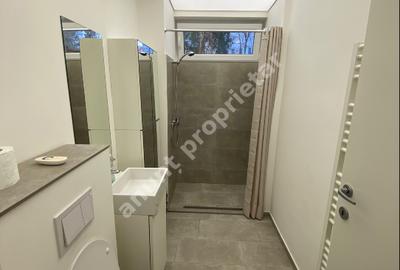 Garsonieră semidecomandată, mobilată în Grigorescu - 10