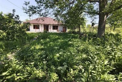 Casă cu Teren 630 Mp în Lipia - 2