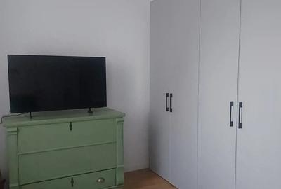 Garsonieră decomandată în Remetea Mare - 3