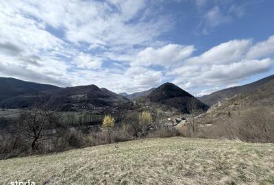 Teren de 150000 mp, în Iara - 1