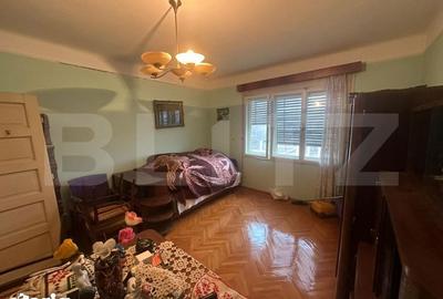 Casă cu 4 camere cu Teren 6197 Mp în Micula - 9