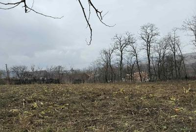 Teren Ultracentral in Rotunda - 1