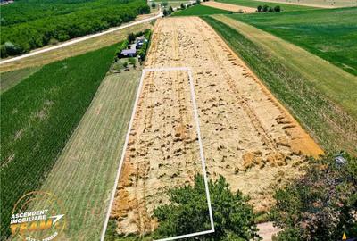 FILM! Teren extravilan, Valea Crisului, Covasna - 2