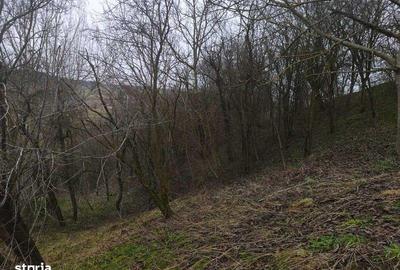 Teren de 5000 mp, în Sic - 5