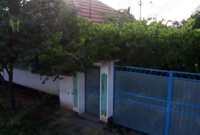 Casă cu 3 camere cu Teren 1180 Mp în Tăut - 6