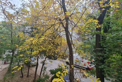 Apartament 2 camere Drumul Taberei / Bd. Timisoara - 12