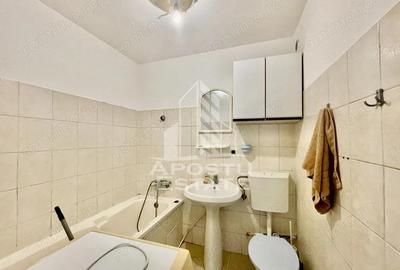 Apartament 1 Camera, 210 Euro, zona Alfa - 2