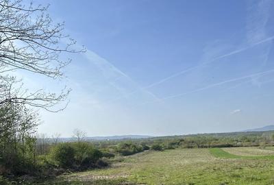 Spațiu comercial, în Zlagna - 2