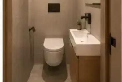 Penthouse cu 3 camere decomandat în Dacia - 11