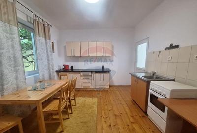 Doua case de vanzare in aceeasi curte, in zona Sub Arini - 3