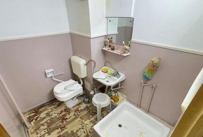 Apartament 4 Camere Teiul Doamnei Lacul Tei - 15