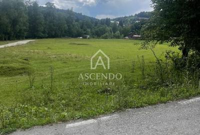 Teren Construcții intravilan de 4500 mp, în Dâmbovicioara - 4