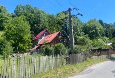 Teren de 2361 mp, în Valea Doftanei - 4