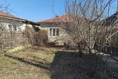 Casă cu 3 camere cu Teren 850 Mp în Central - 4