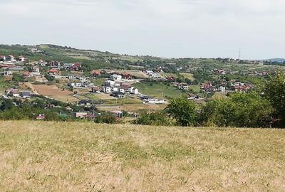 Spațiu comercial, în Central - 3