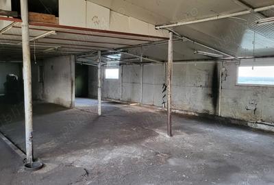 Inchiriez hala industriala Curtea de Arge? - 4