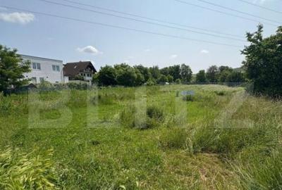 Teren Intravilan de vanzare, 2.200 mp, zona Viisoara - 3