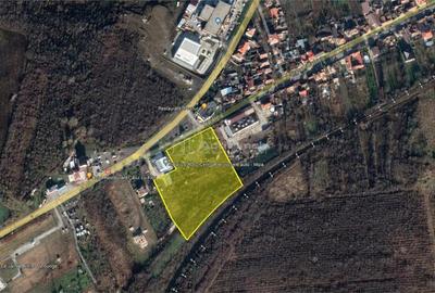 Oravita, Teren Intravilan Drept, In Oras, 16000 Mp., 18 Euro Mp. - 9