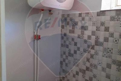 Casă cu 4 camere cu Teren 3414 Mp în Comarna - 15
