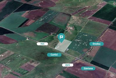 Teren intravilan 10,5 ha în com. Șimand, jud. Arad - 2