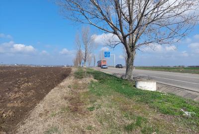 Teren agricol extravilan de 3618 mp, în Bogdan Vodă - 3