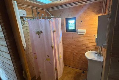 Casă cu 2 camere cu Teren 4300 Mp în Dulcele - 10