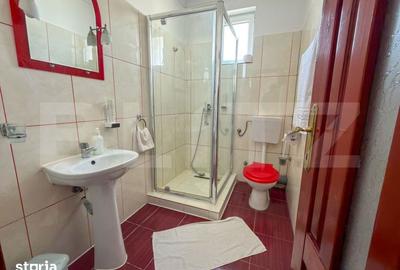 Spațiu comercial, de 1,030 mp, în Sânmartin - 4