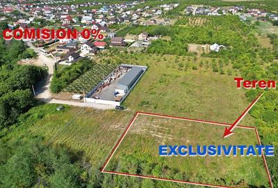 AZURA Imobiliare - Vanzare teren Smeura, zona verde - 1