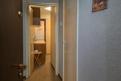 Apartament cu 2 camere decomandat, mobilat în Cișmigiu - 3