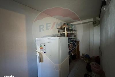 Casă cu 2 camere cu Teren 1172 Mp în Bodrogu Nou - 20