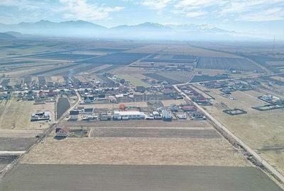 Teren Extravilan, P.U.Z. inceput - 12