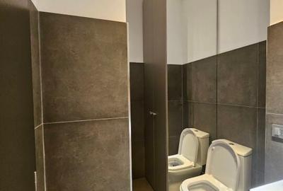 PRIMA INCHIRIERE PENTHOUSE LOFT MOGOSOAIA - 14