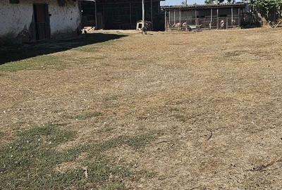 Teren de 16500 mp, în Nord-Vest - 3